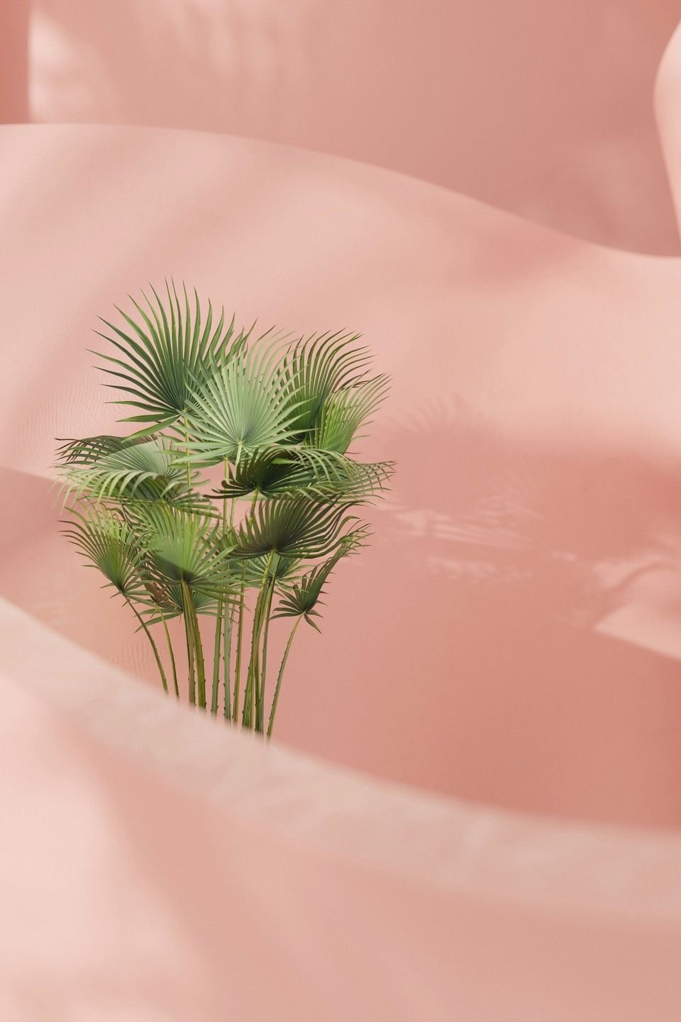 色彩体系图