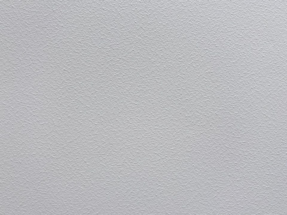 小羊皮